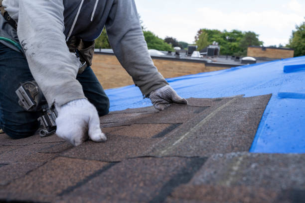 Best New Roof Installation  in Vonore, TN