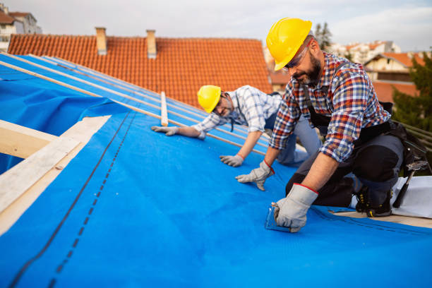 Best Metal Roofing Contractor  in Vonore, TN