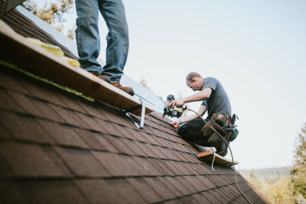 Best Roof Leak Repair  in Vonore, TN